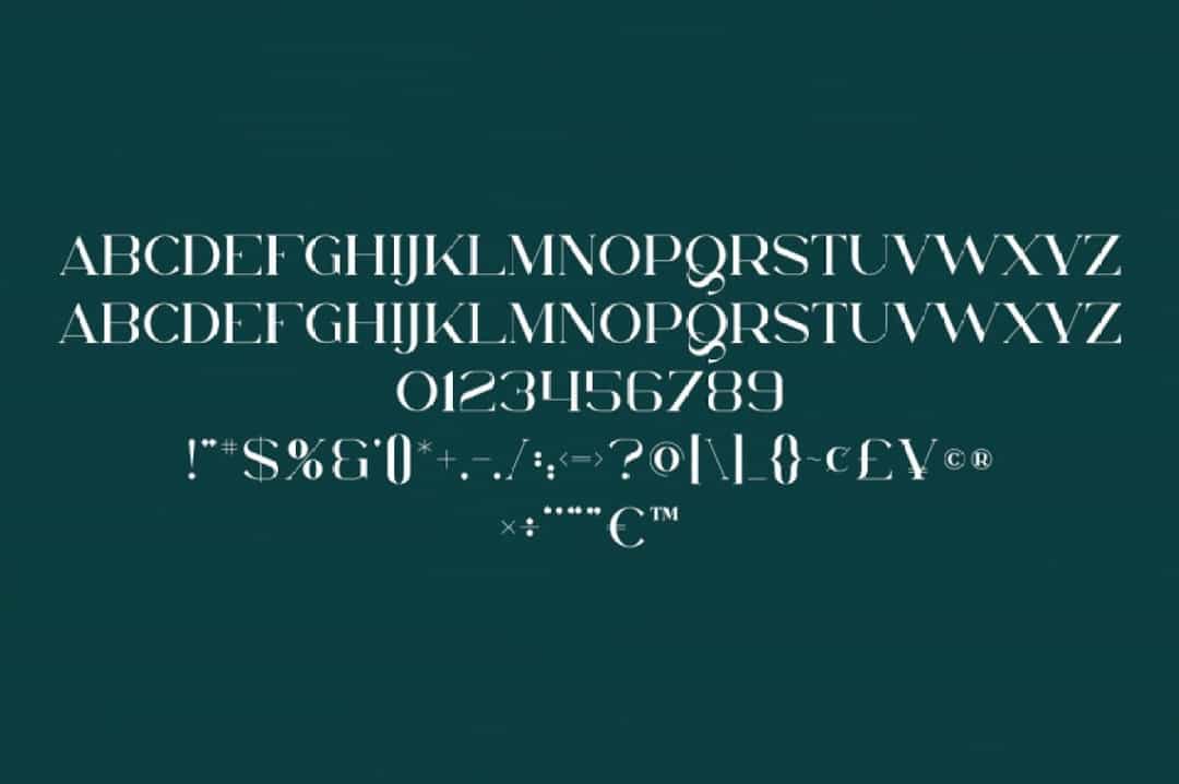 Delanie Font Image 3