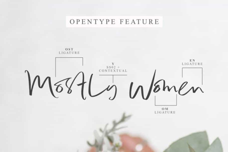 Bale & Melanie Script Font Image 2