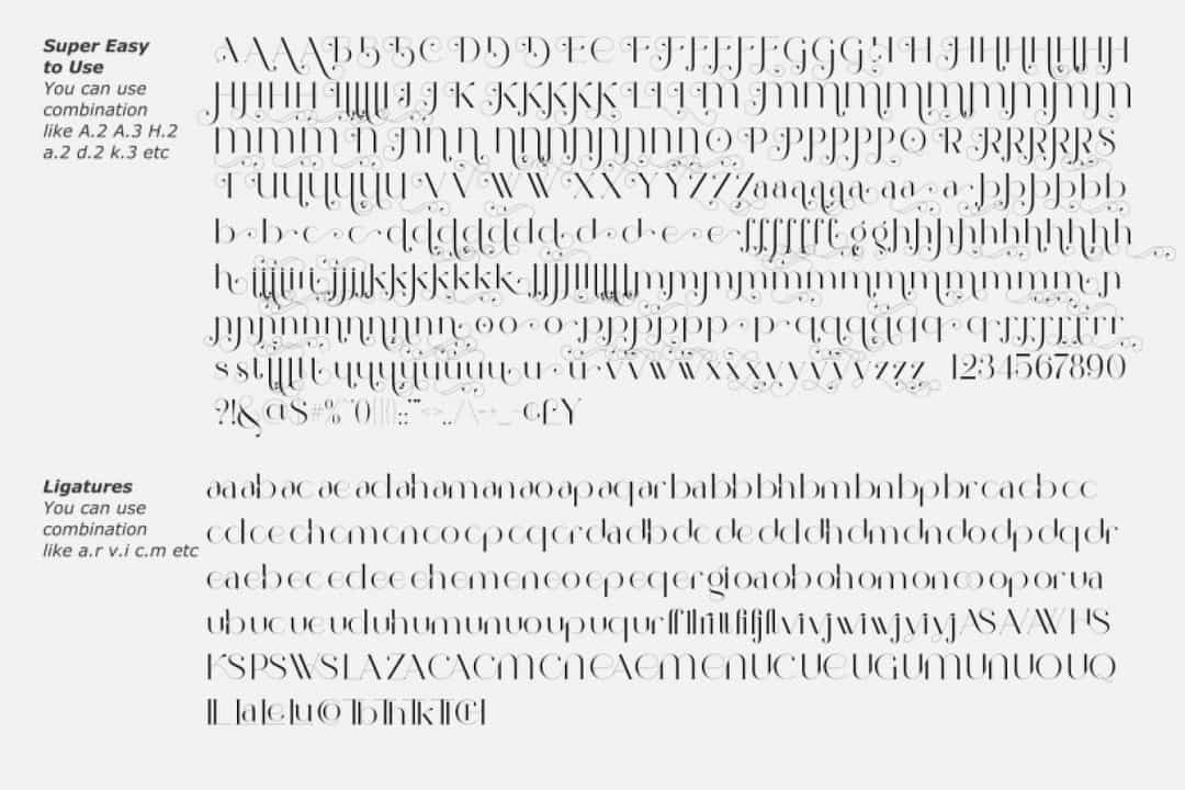 Beauty Ballerina Font Image 3