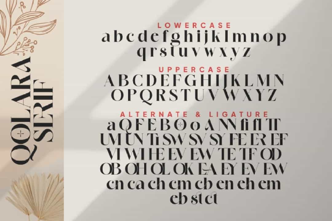 Qolara Serif Font Image 2