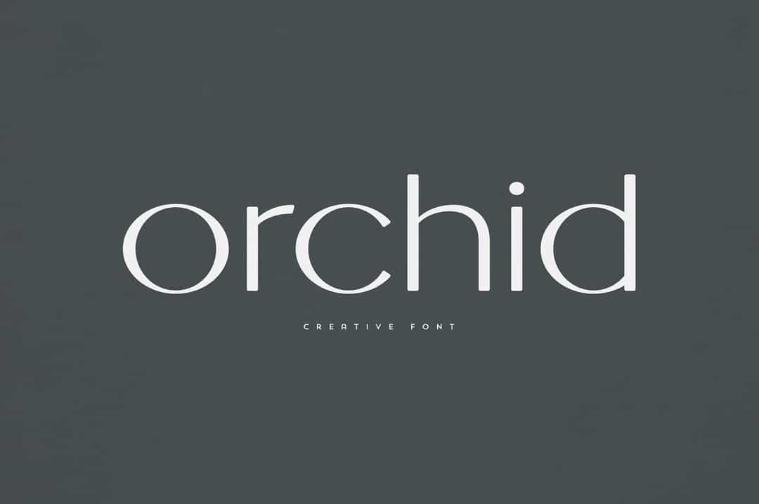 Orchid Font Image 1