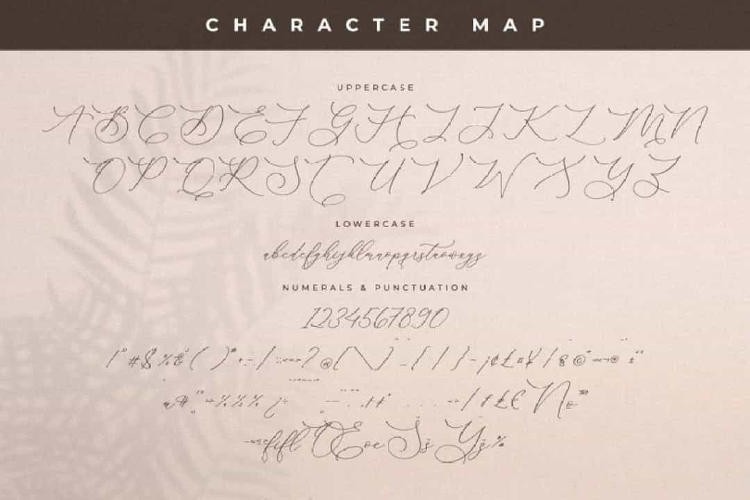 Storyline Regario Font Image 3