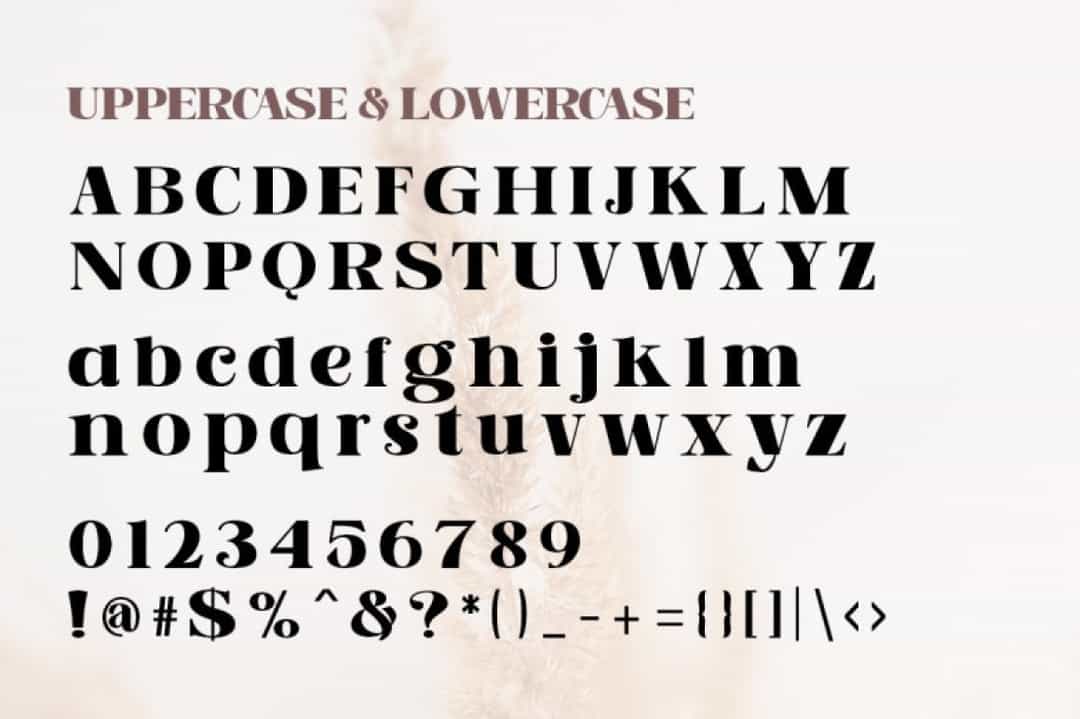 Asteru Font Image 3