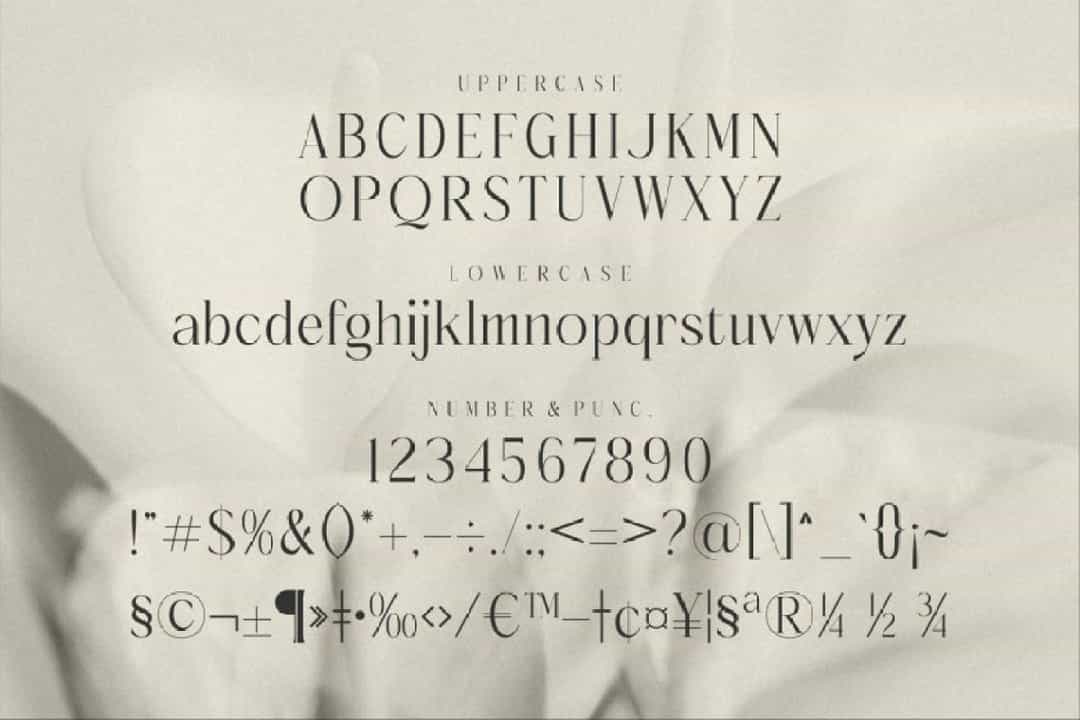 Molerta Font Image 3