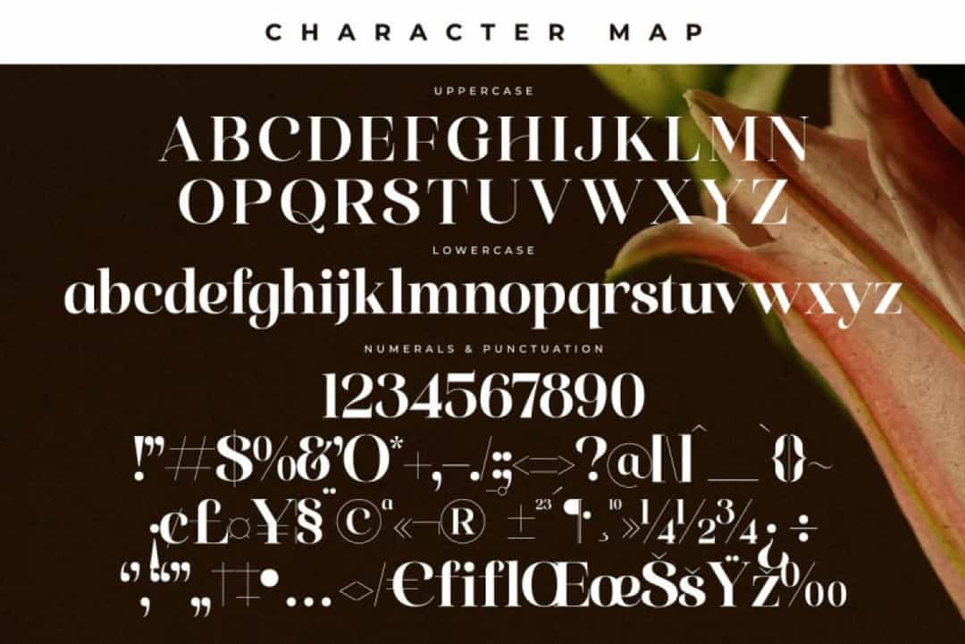 Florilst Realik Font Image 3