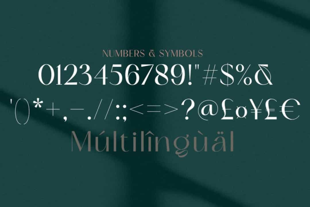 Skeina Font Image 3