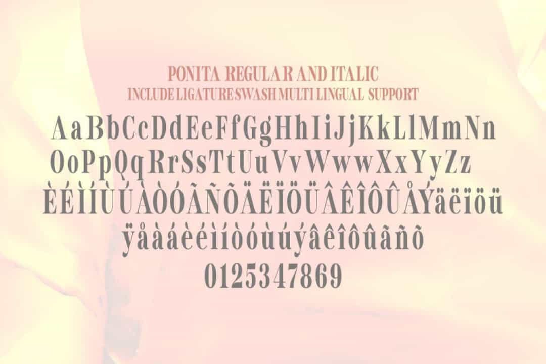 Ponita Font Image 3
