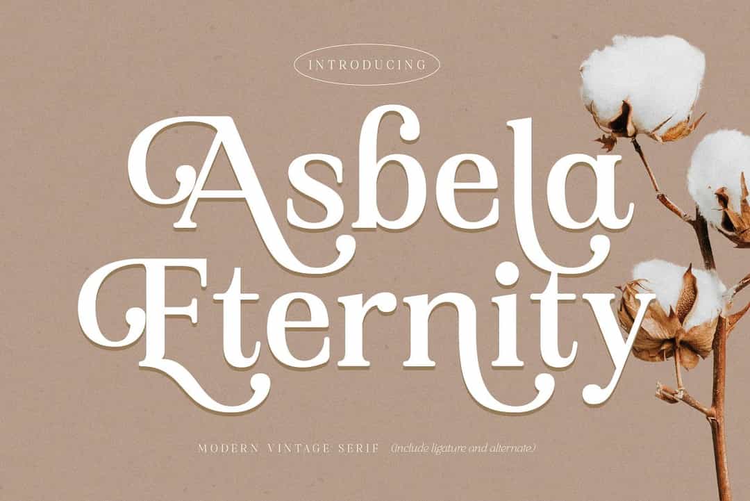 Asbela Eternity Font Image 1