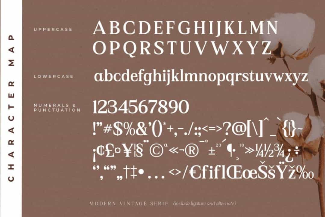 Asbela Eternity Font Image 3