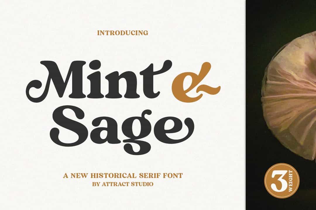 Mint and Sage Font Image 1