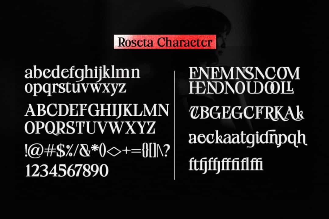 Roseta Font Image 3