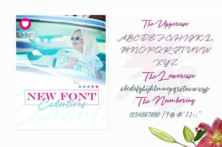 Angelines Script Font Image 2