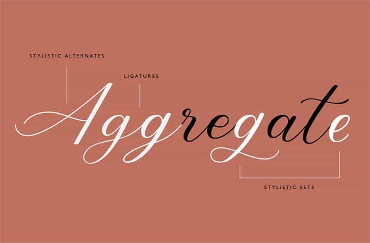 Abundant Script Font Image 2