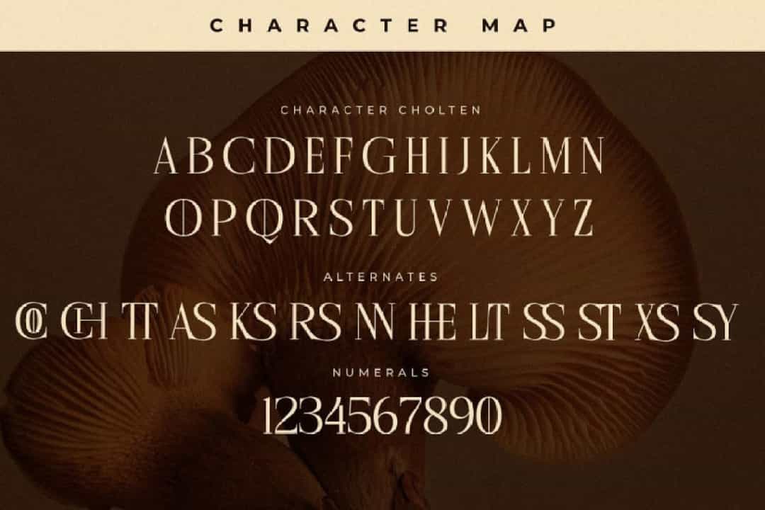 Cholten Font Image 3