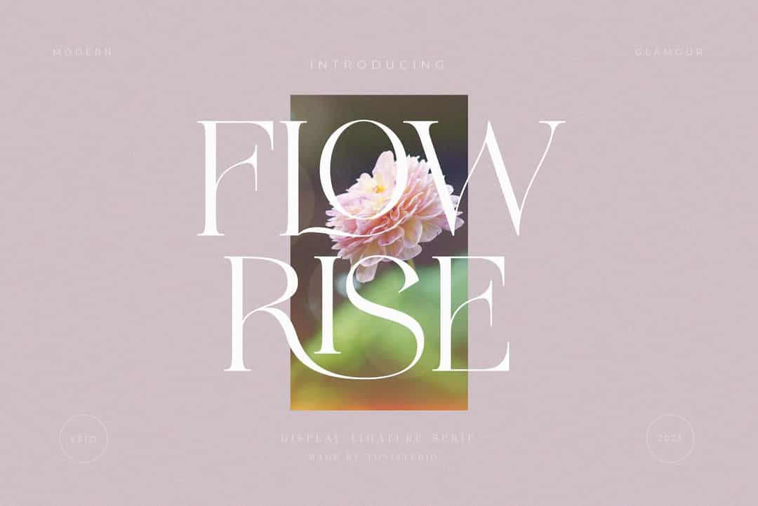 Flowrise Font Image 1