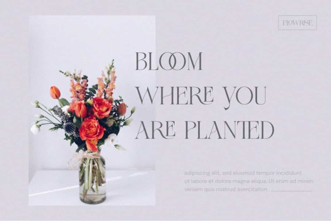 Flowrise Font Image 2