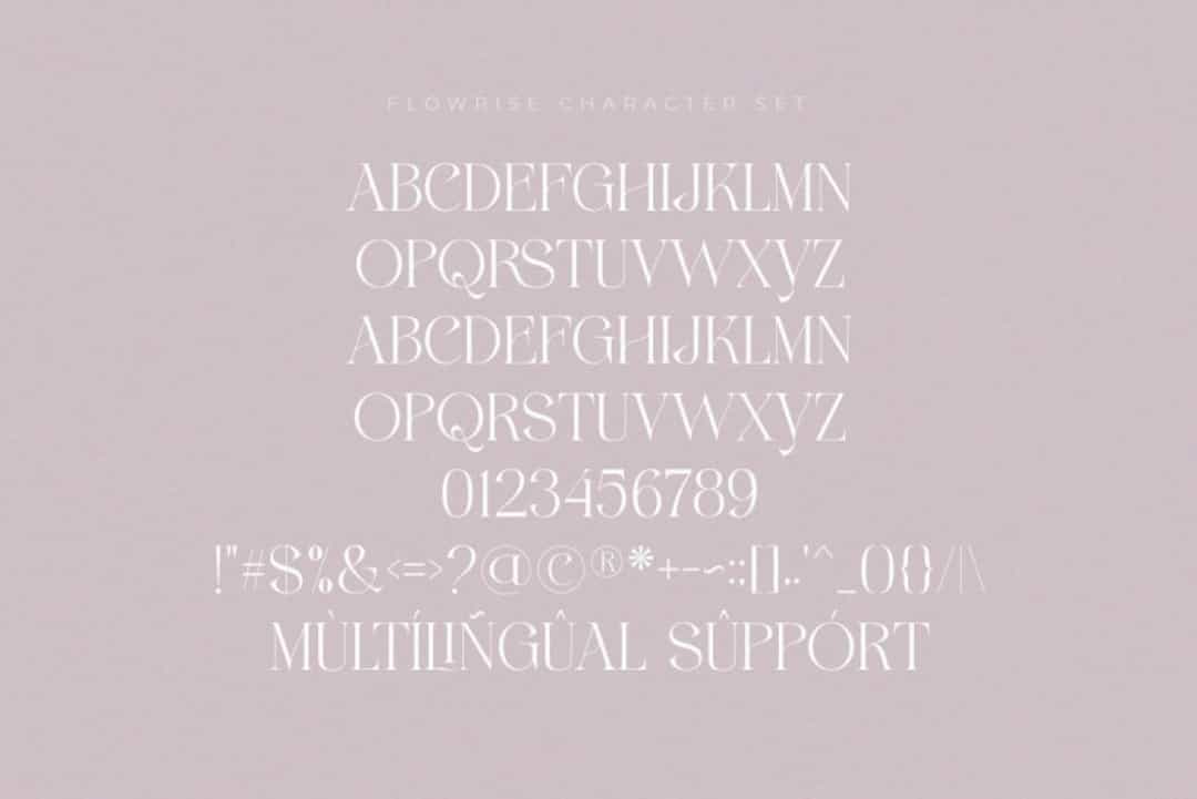 Flowrise Font Image 3