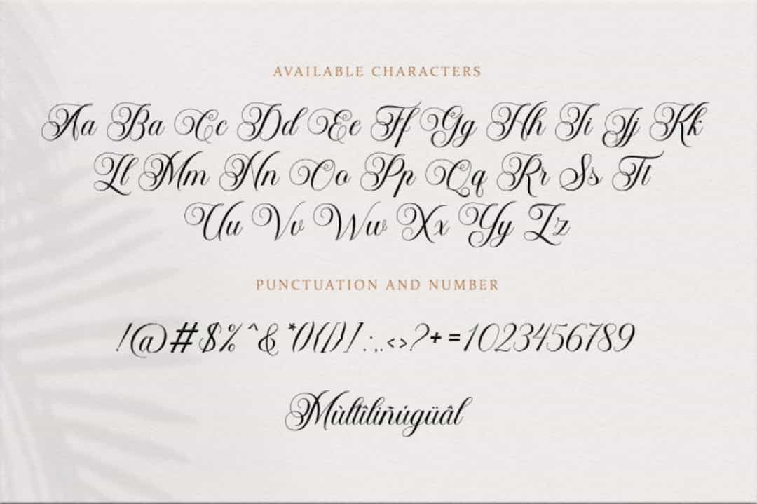 Bailenson Font Image 3