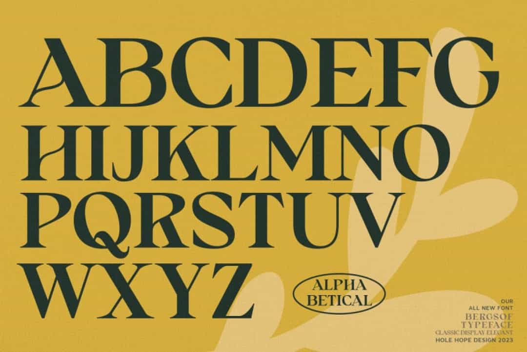 Bergsof Font Image 2
