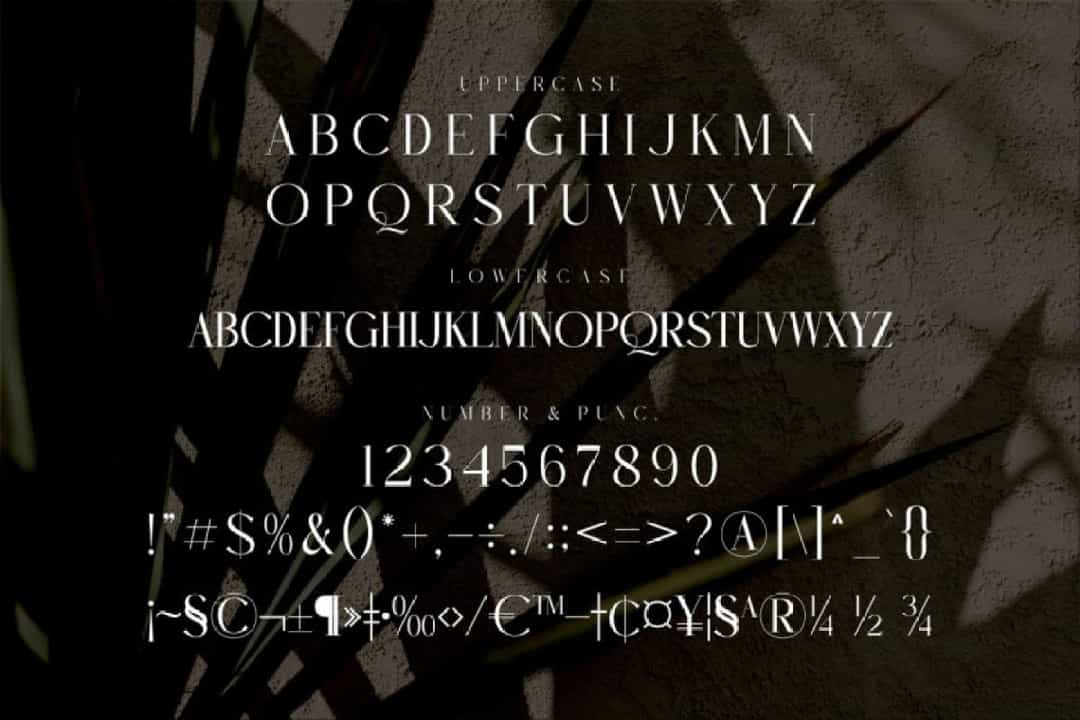 Rughato Wacner Font Image 3