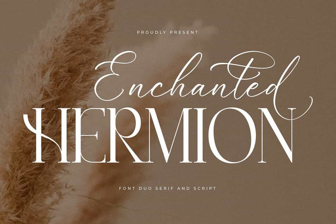 Enchanted Hermion Font Image 1