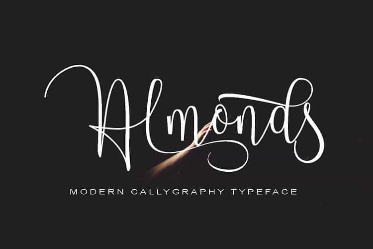 Almonds Script Font Image 1