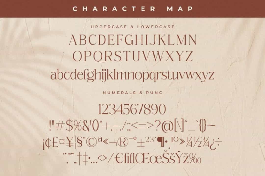 Qerginas Frenchstyle Font Image 2