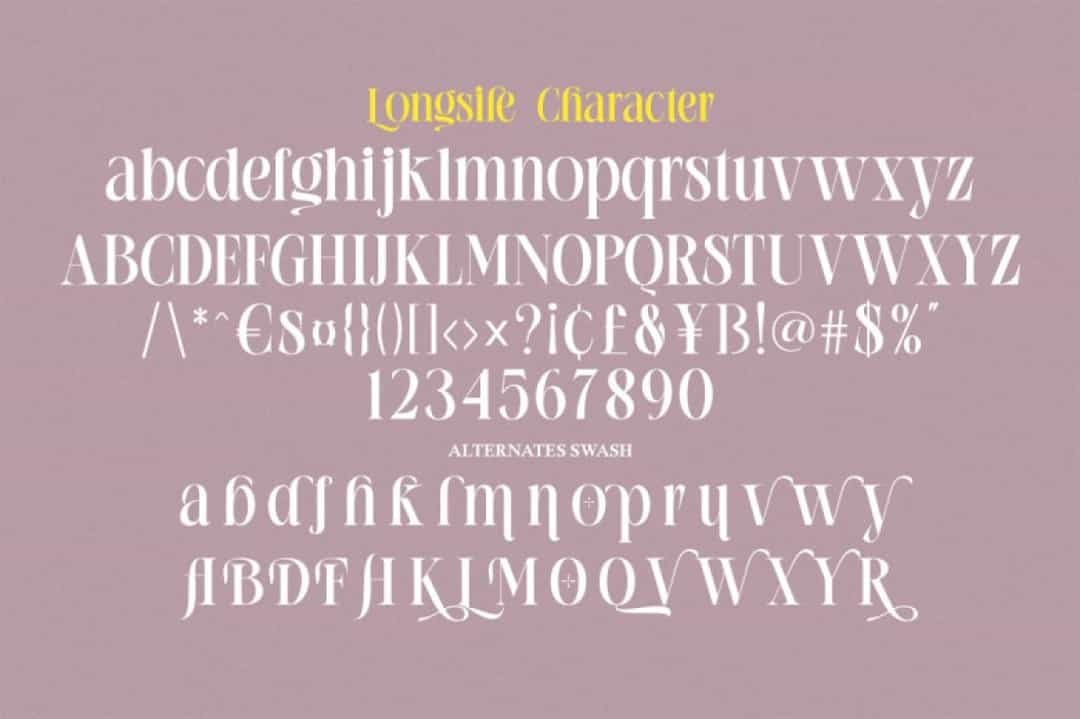 Longsile Font Image 3