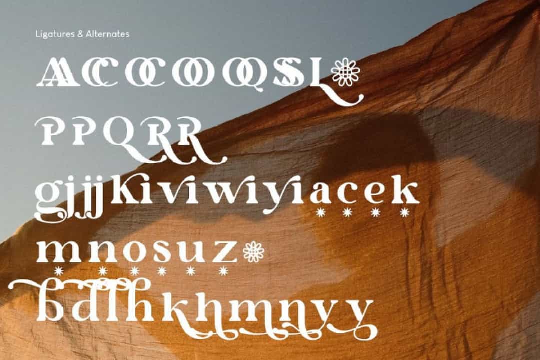 Royale & Caikes Font Image 2