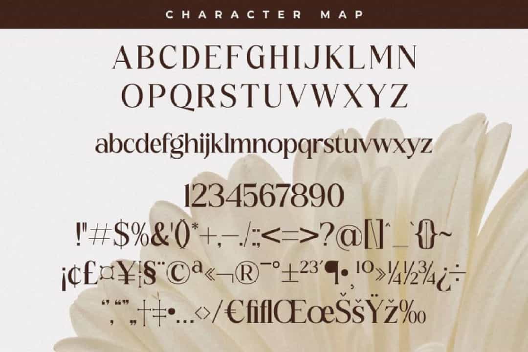 Floral Paradise Font Image 2