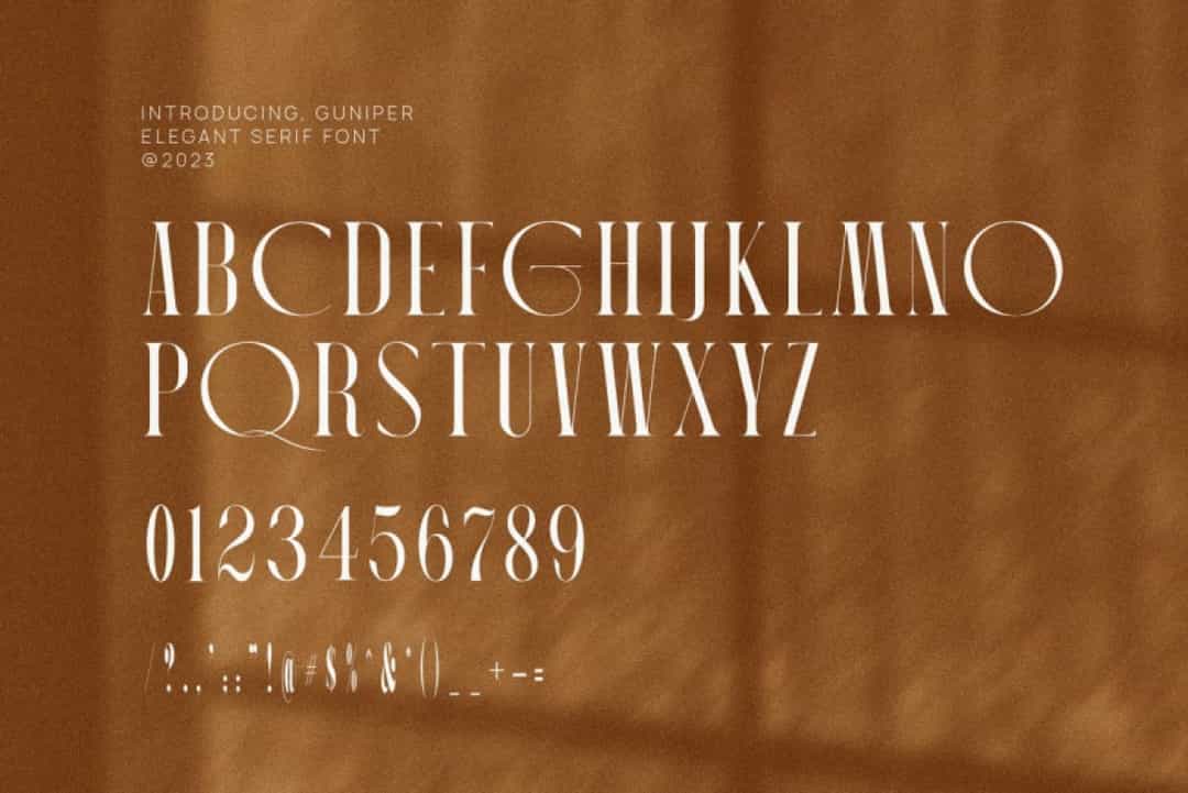 Guniper Font Image 3