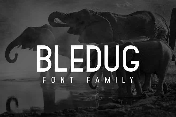 Bledug Font Family Image 1