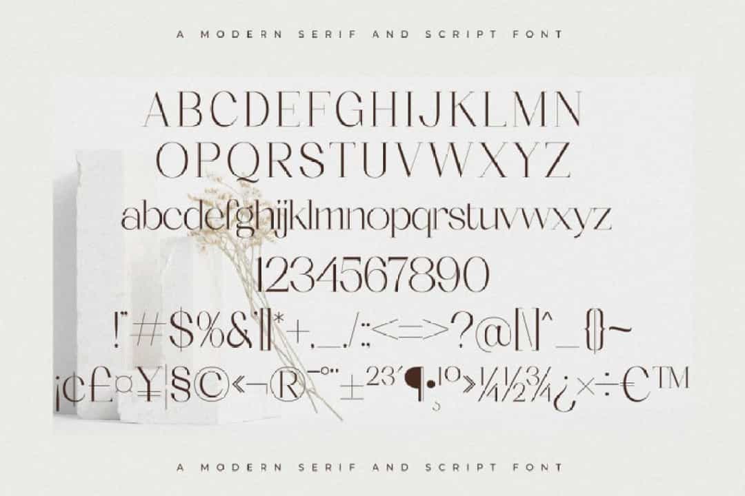 Seraphina Font Image 2