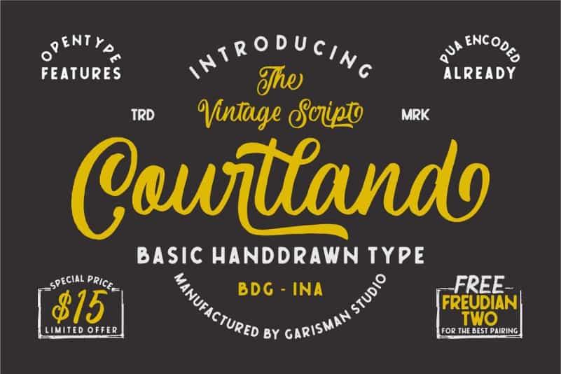 Courtland Handdrawn Font Image 1