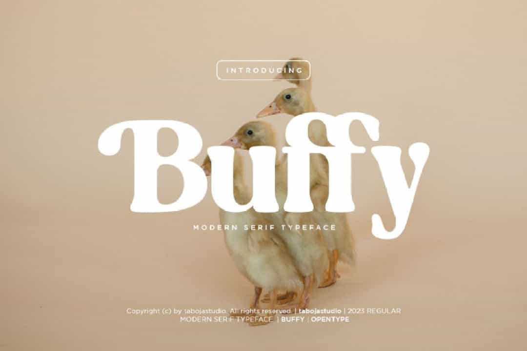 Buffy Font Image 1