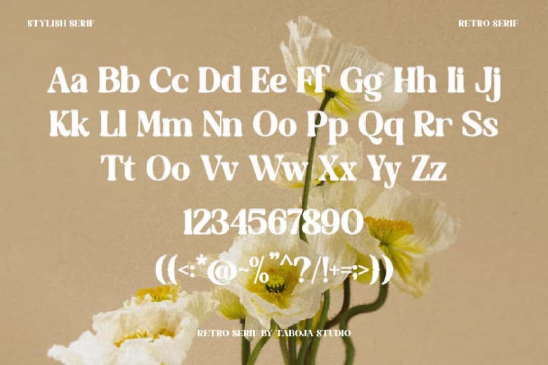 Buffy Font Image 3