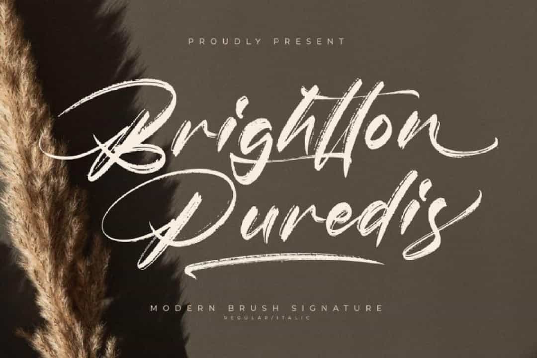 Brightton Puredis Font Image 1