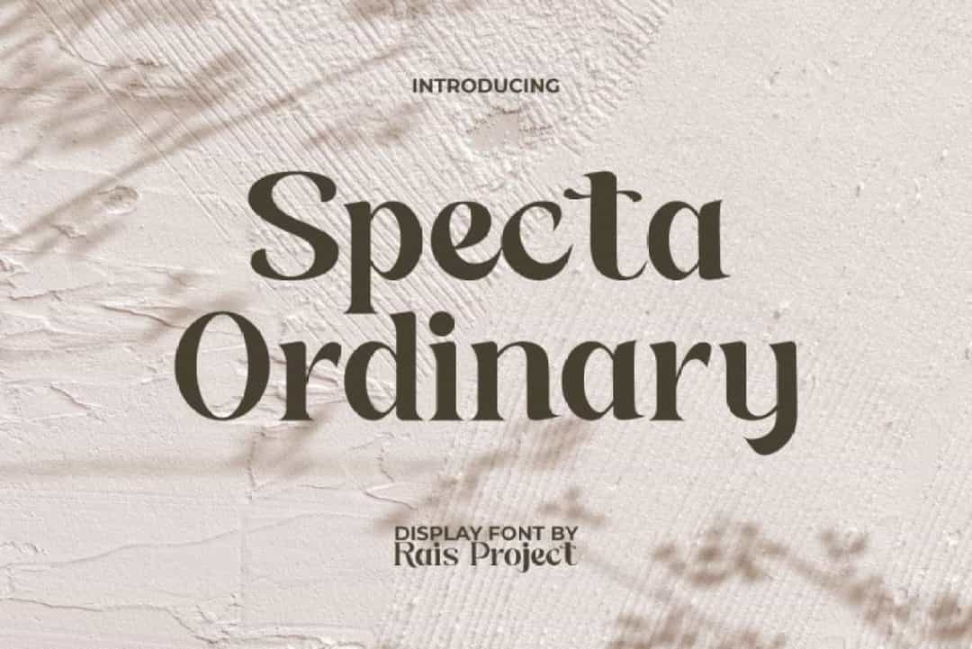 Specta Ordinary Font Image 1