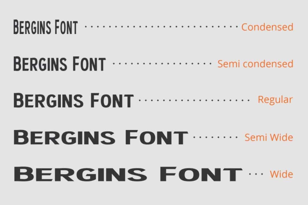 Bergins Font Image 2