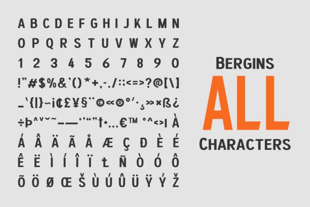 Bergins Font Image 3