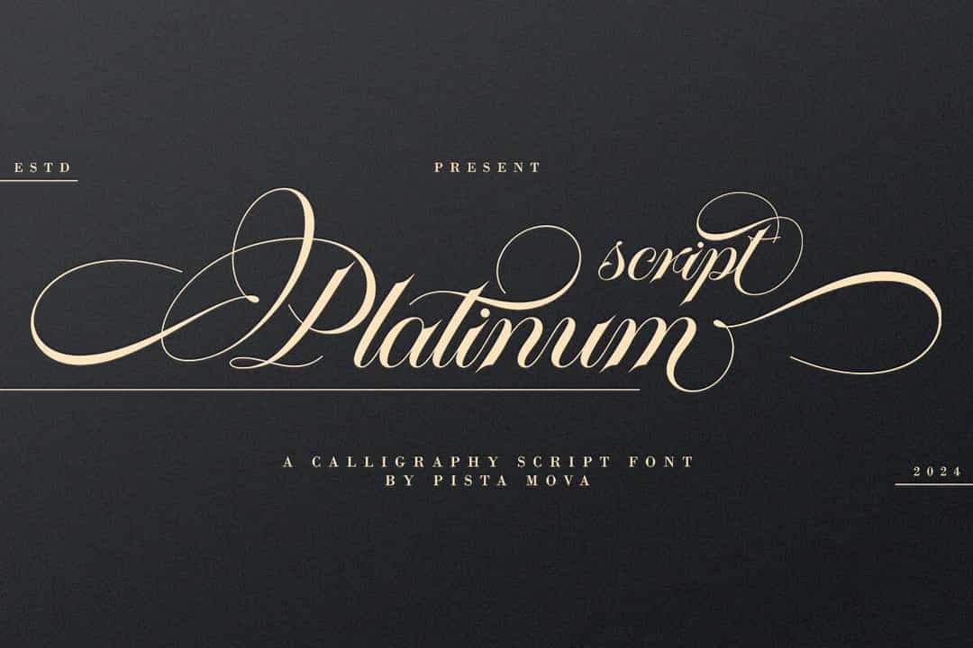 Platinum Font Image 1
