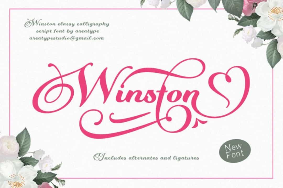 Winston Font Image 1