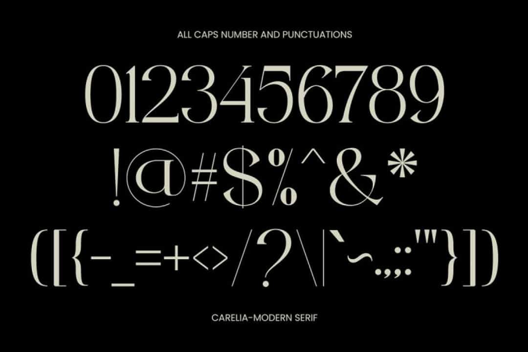 Cerelia Font Image 4