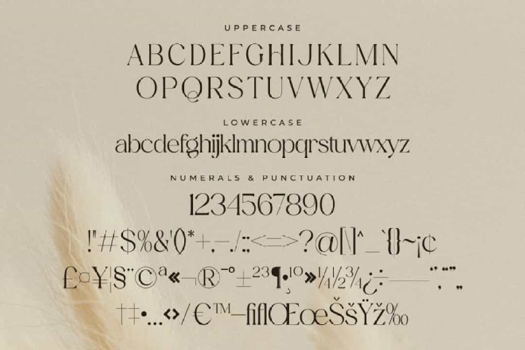 Aurora Magnollia Font Image 2