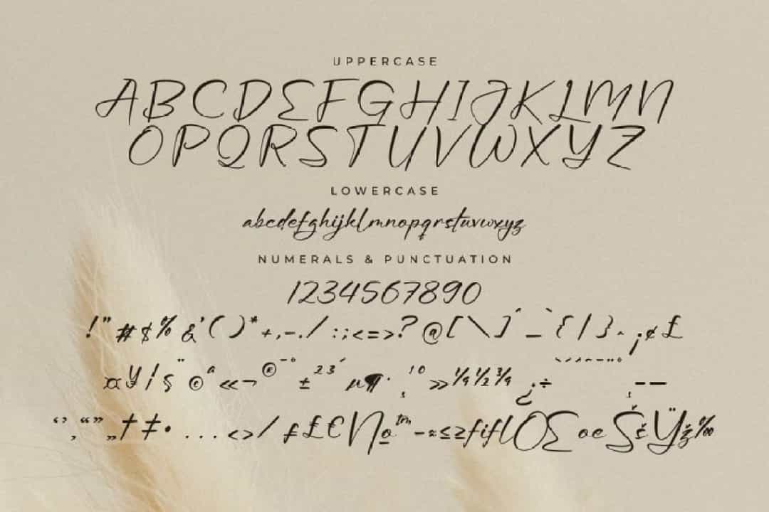 Aurora Magnollia Font Image 3