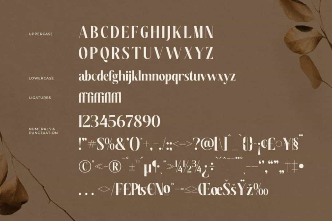 Semiflora Font Image 3