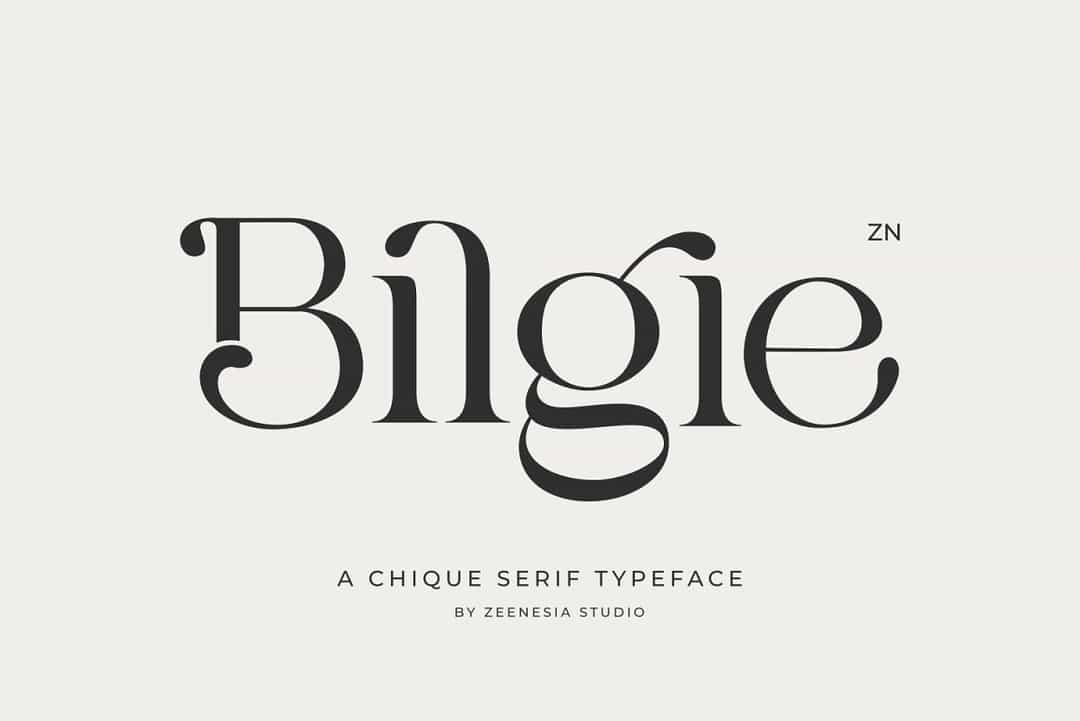 Bilgie Font Image 1