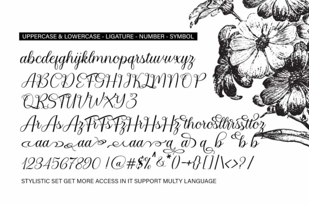 Bailies Script Font Image 3
