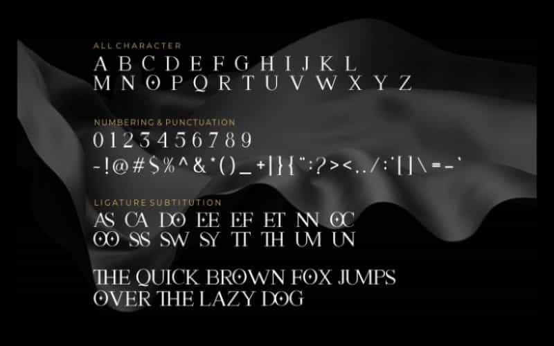 Aston Calvin Font Image 2