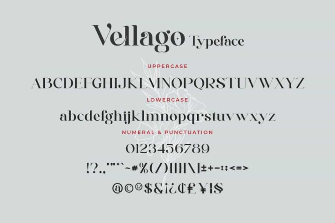 Vellago Font Image 3